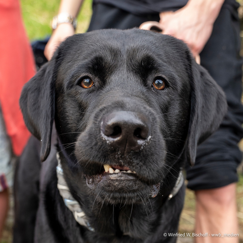 _DSC1538 | <Fotografie> <Video> <Film> <Winfried Bischoff> - Realisiert mit Pictrs.com