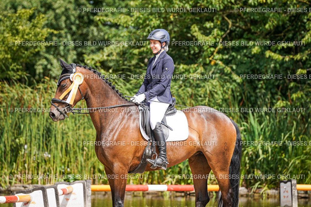 DSC02425 | Pferdegrafie