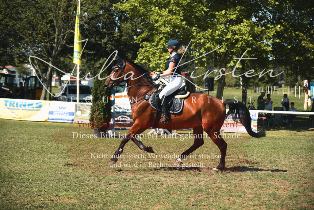 DSC_7046 | Pferde- und Turnierfotografie in Westsachsen. Pferdeportraits, Auftragszeichnungen und intuitive Kunst.