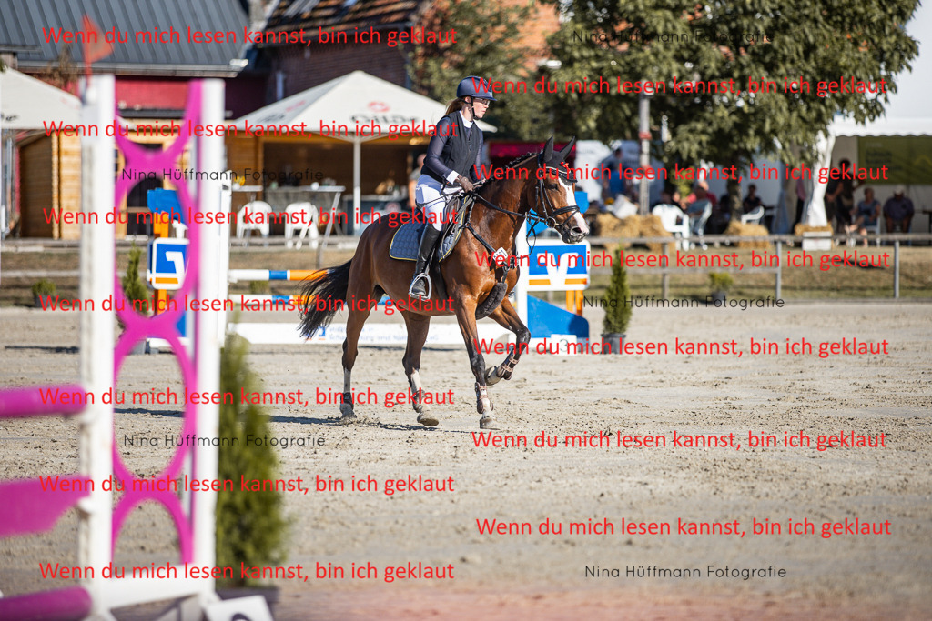 BK1A7487 | Turnierbilder Turnierfotos Nina Hüffmann Turnierfotografie Pferdefotografie Tierzeichnung Haustierzeichnung Pferdezeichnung Hundezeichnung Videograf  - Realisiert mit Pictrs.com