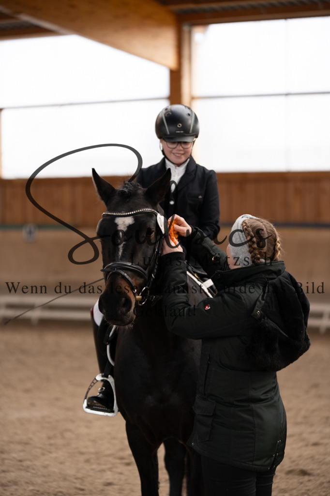 A7V09527 | Pferdefotograf