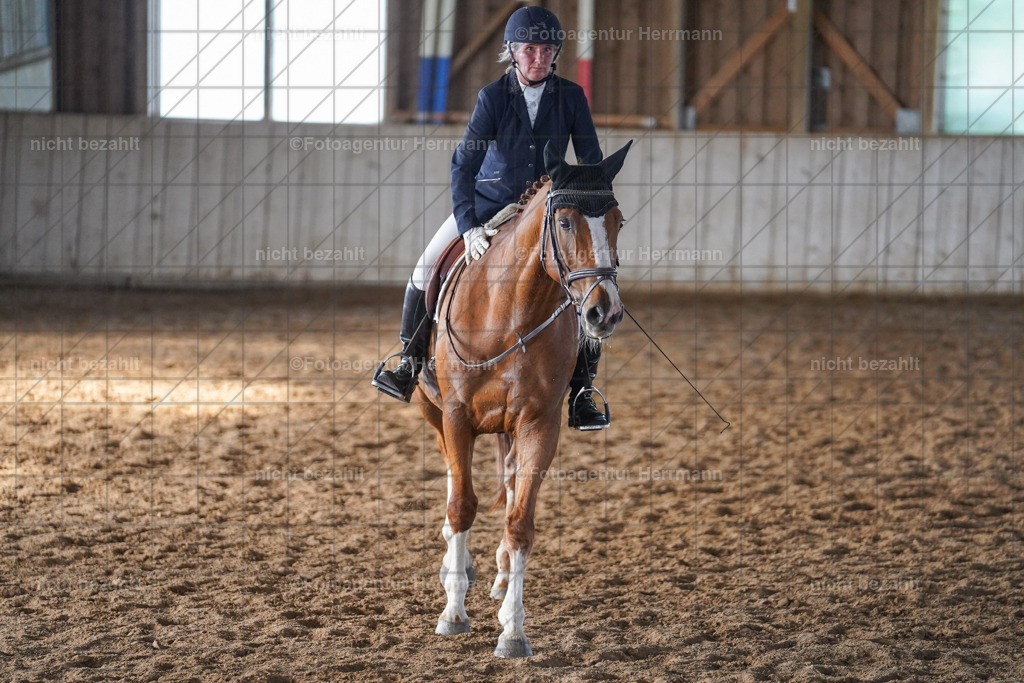 20230917-FAH09939 | Landsberg am Lech, 2023, Kaufbeuren, Kempten, Allgäu, Turnierfotografen Bayern, Fotoagentur Herrmann, Turnierbilder, Reitsport Fotos, Pferdefotograf, Augsburg, Bad Tölz, Dachau, Karlsfeld, Memmingen, Buchloe, Schwabmünchen