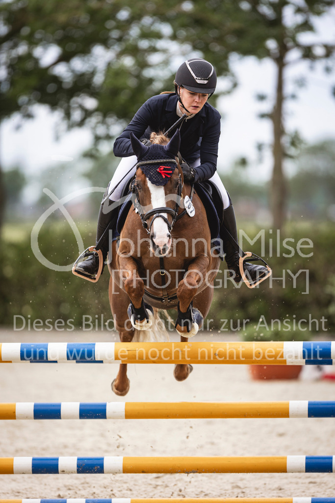 240616_Lemwerder_A2-Spr-218 | Deine schönsten Turniermomente als professionelle Fotos! Entdecke hochwertige Pferdesport-Fotografie im Online-Shop. Jetzt Fotos finden & bestellen!