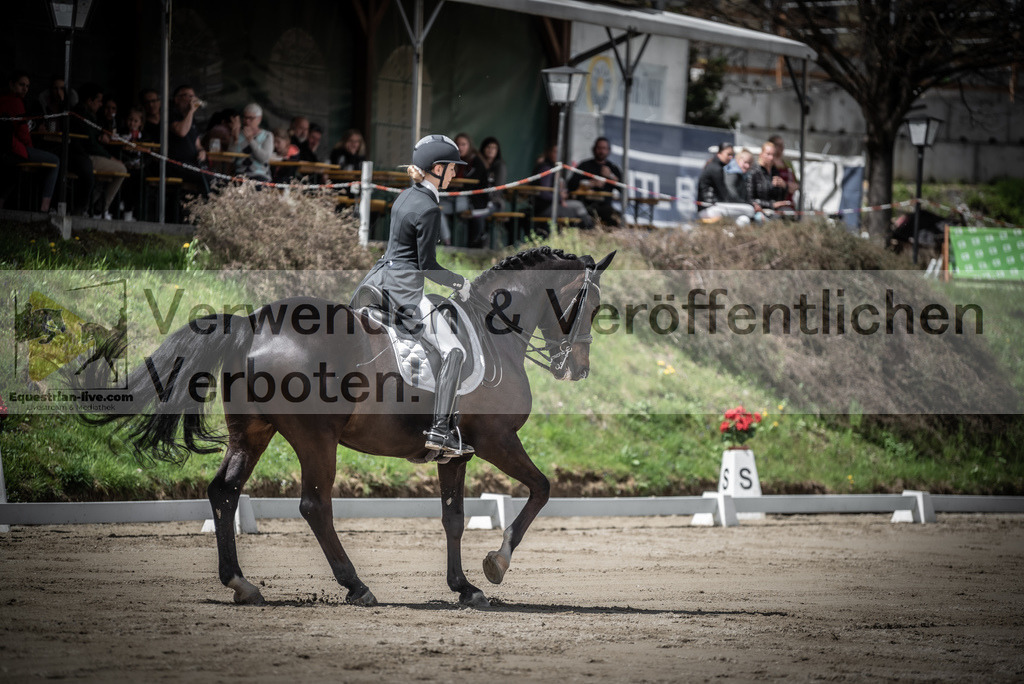 DSC_2323 | equestrian-live-com