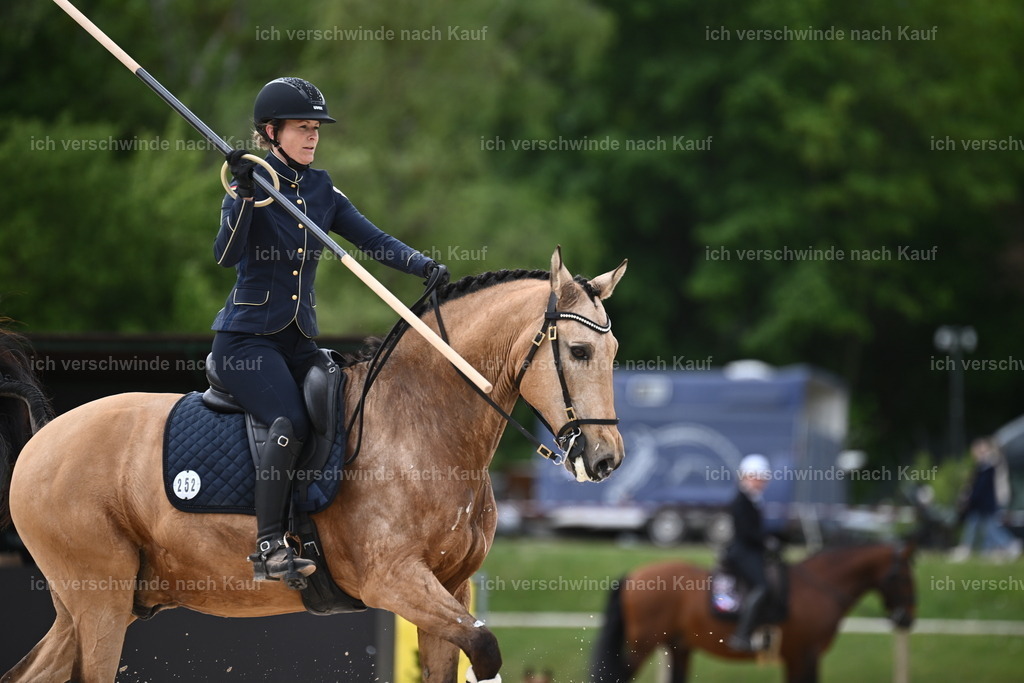 PI26_ST_Sara_Landvogt226_2554.JPG | working equitationturnier fotograf videograf stoibphotography marixx film working equitation deutschland reitsport turnierfotografie eventfotografie equestrian events