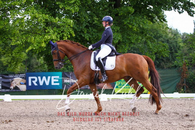 DKP41542 | Turnierfotos kaufen im Webshop von Daniel Kuhl Photography – entdecke professionelle Reitsportfotos aus Turnieren & Events. Hochwertige Turnierbilder online bestellen & sichern. Jetzt Fotos von Reitsportturnieren kaufen!