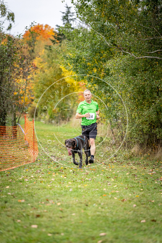 Pfotenfotografie_DV3A2011 | Hundefotografie, Tierfotograf, Pfotenfotografie, Fotoshooting Hund, Hunde Portrait, Hundesport, Hundeportraits, Heideshooting, Hunde, Sportfotograf, Hundefotograf, Turnierhundsport, THS,  - Realisiert mit Pictrs.com