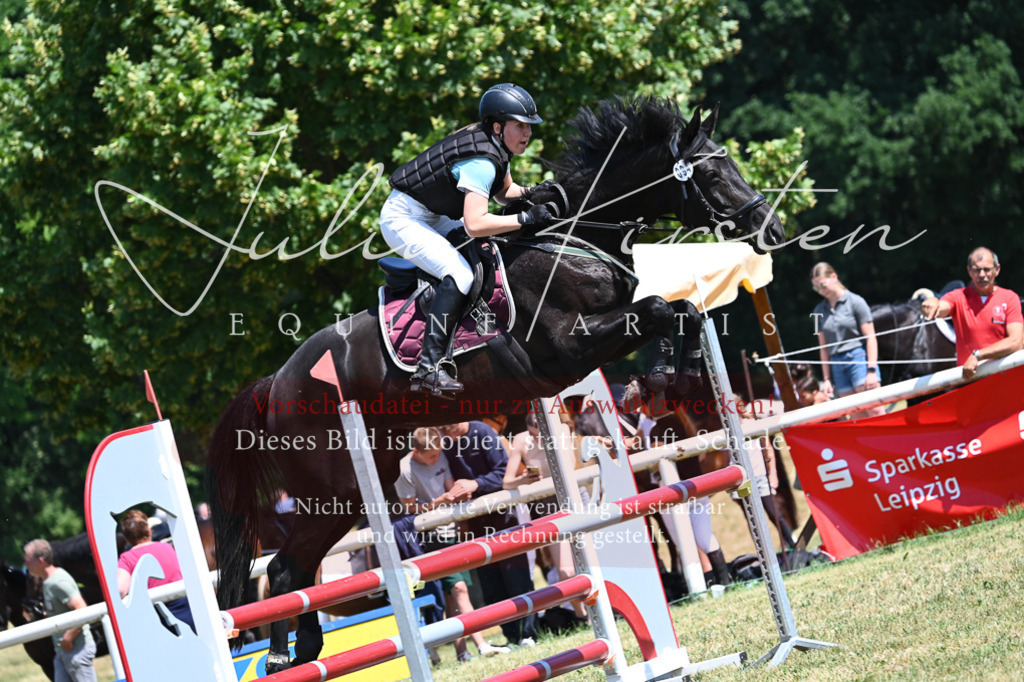 DSC_0708 | Pferde- und Turnierfotografie in Westsachsen. Pferdeportraits, Auftragszeichnungen und intuitive Kunst.