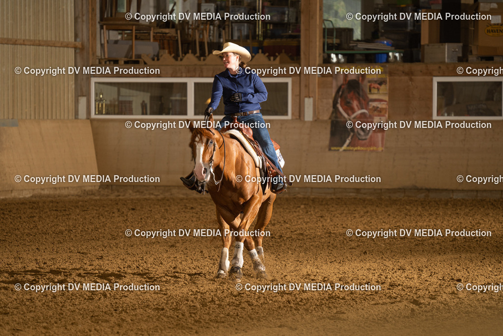 LAU00431 | dv-media-shop - Realisiert mit Pictrs.com