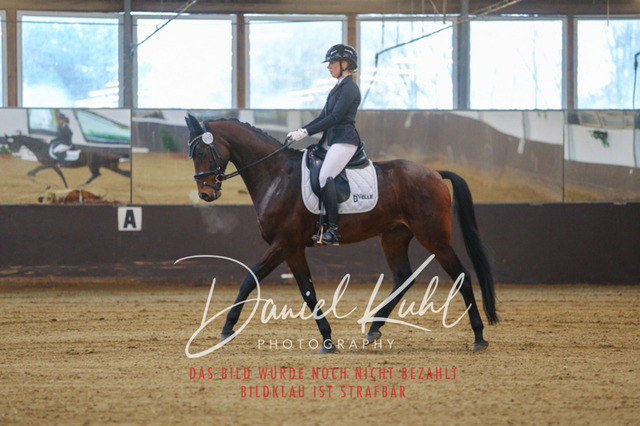 IMG_7837 | Turniersportfotografie; Pferdefotografie; Dressurfotografie