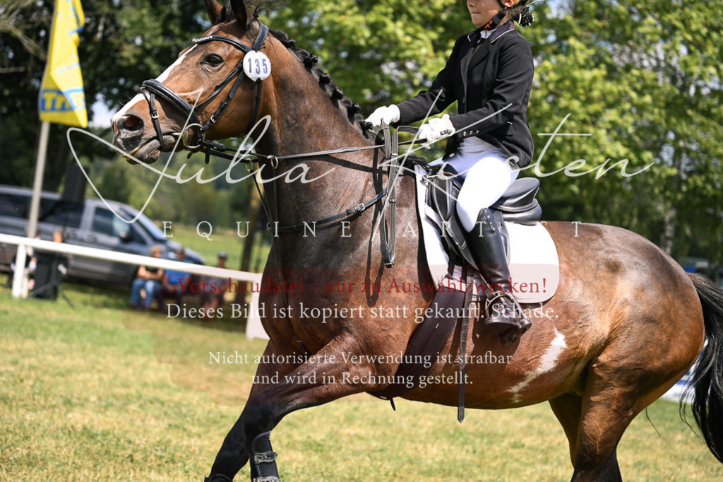 DSC_9240 | Pferde- und Turnierfotografie in Westsachsen. Pferdeportraits, Auftragszeichnungen und intuitive Kunst.