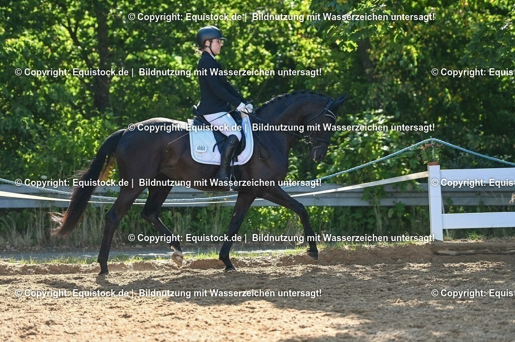 20230715_06_Dressurpferdeprfg. Kl.A_0335 | equistock