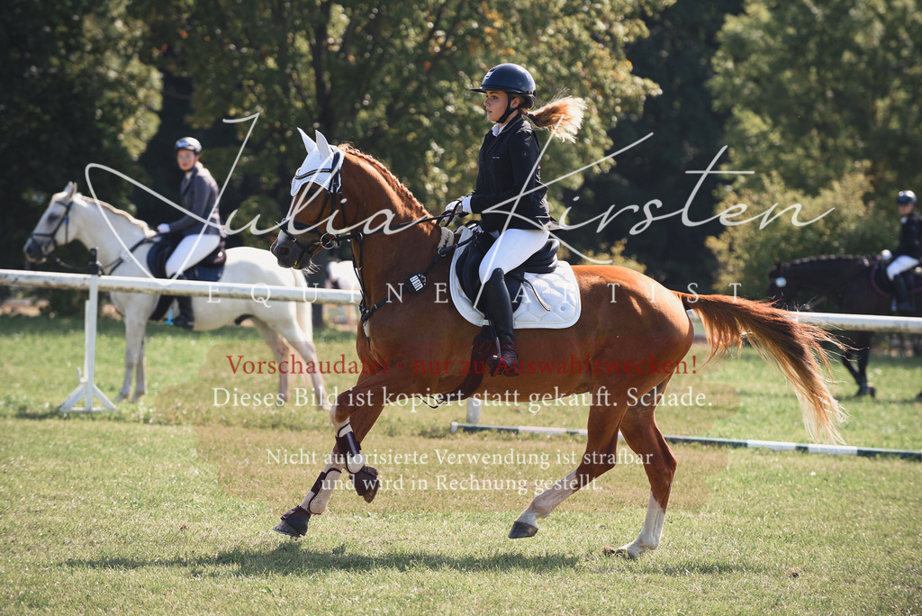 DSC_9122 | Pferde- und Turnierfotografie in Westsachsen. Pferdeportraits, Auftragszeichnungen und intuitive Kunst.