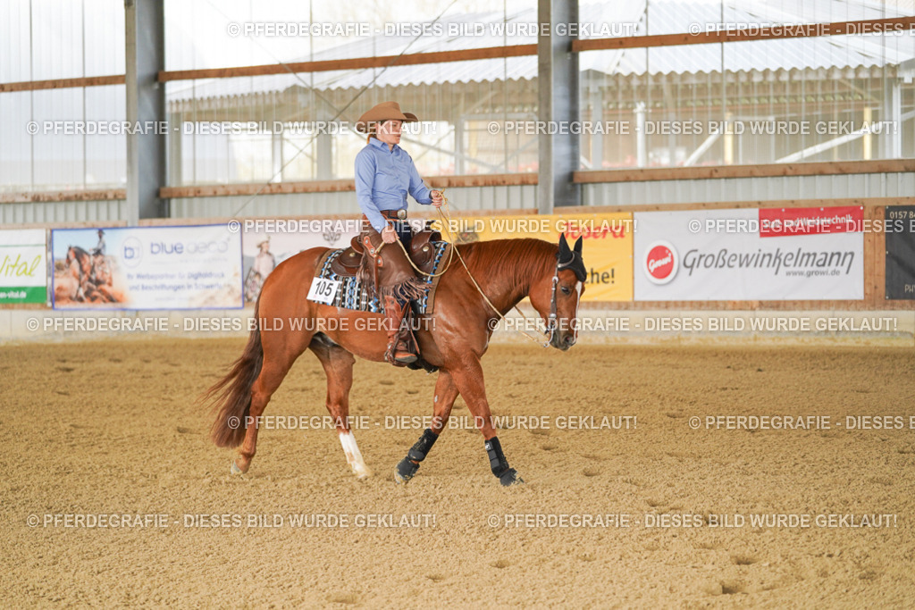 DSC02562 | Pferdegrafie