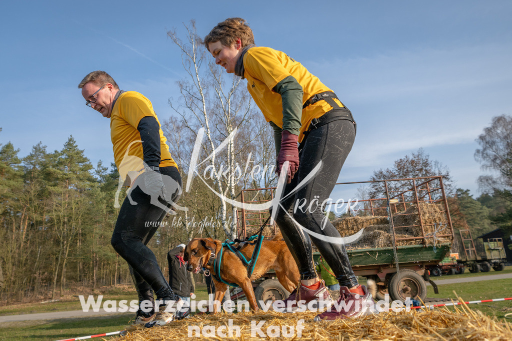 _ZZ90979 | kk-dogfotos