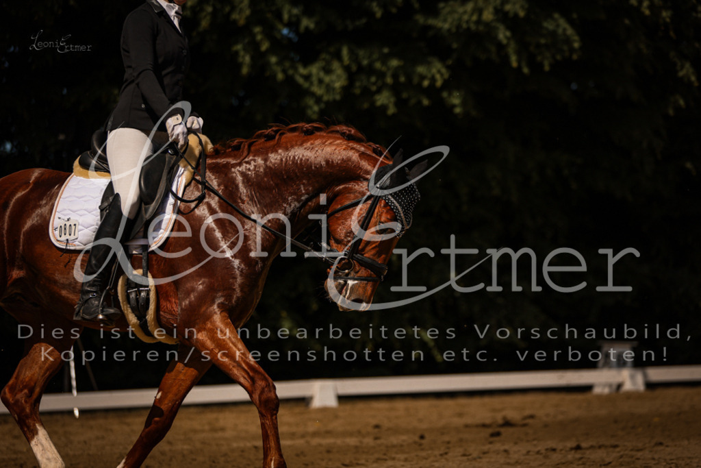 07.FrDrPA00398 | Leoni Ertmer Photography - Realisiert mit Pictrs.com