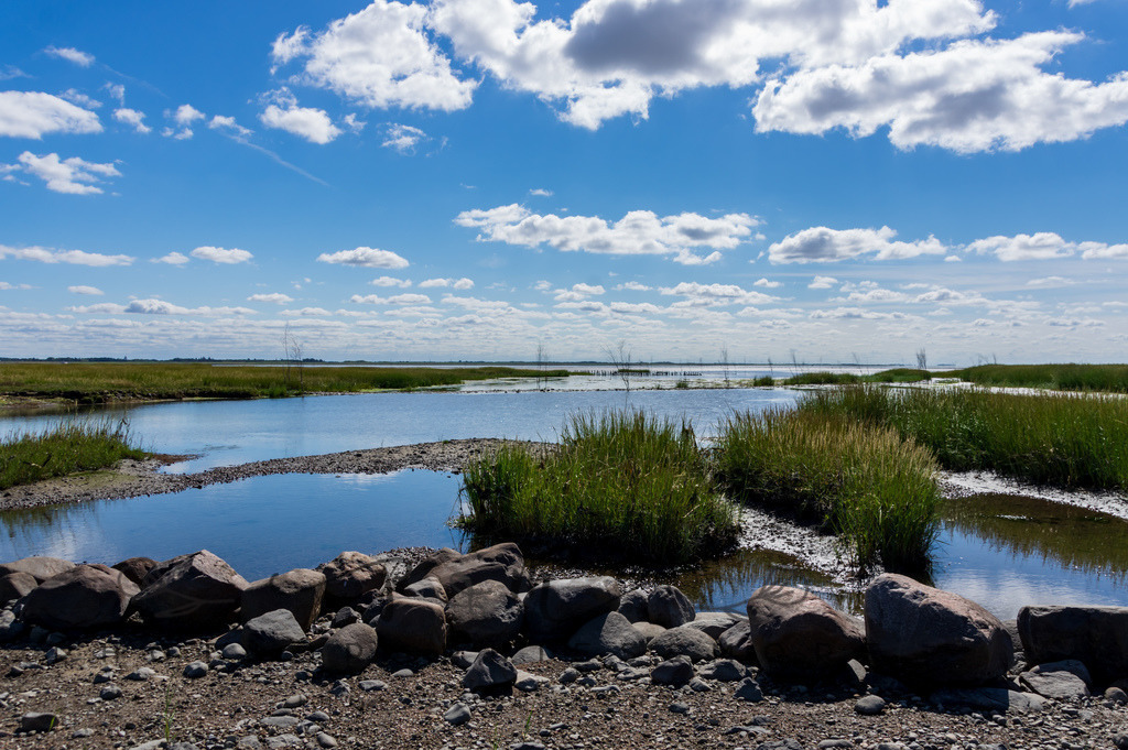 IMGP0415 | Nordseeinsel Mandö - Realisiert mit Pictrs.com