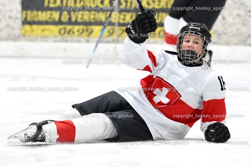 BST_3129 | hockey sports photos, Pressefotos, Sportfotos, hockey247, win 2day icehockeyleague, Handball Austria, Floorball Austria, ÖVV, Kärntner Eishockeyverband, KEHV, KFV, Kärntner Fussballverband, Österreichischer Volleyballverband, Alps Hockey League, ÖFB, 