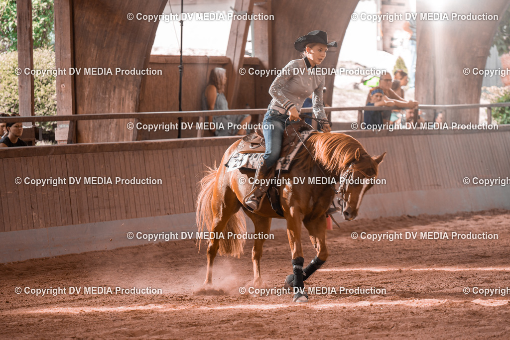 NE300699 | dv-media-shop - Realisiert mit Pictrs.com