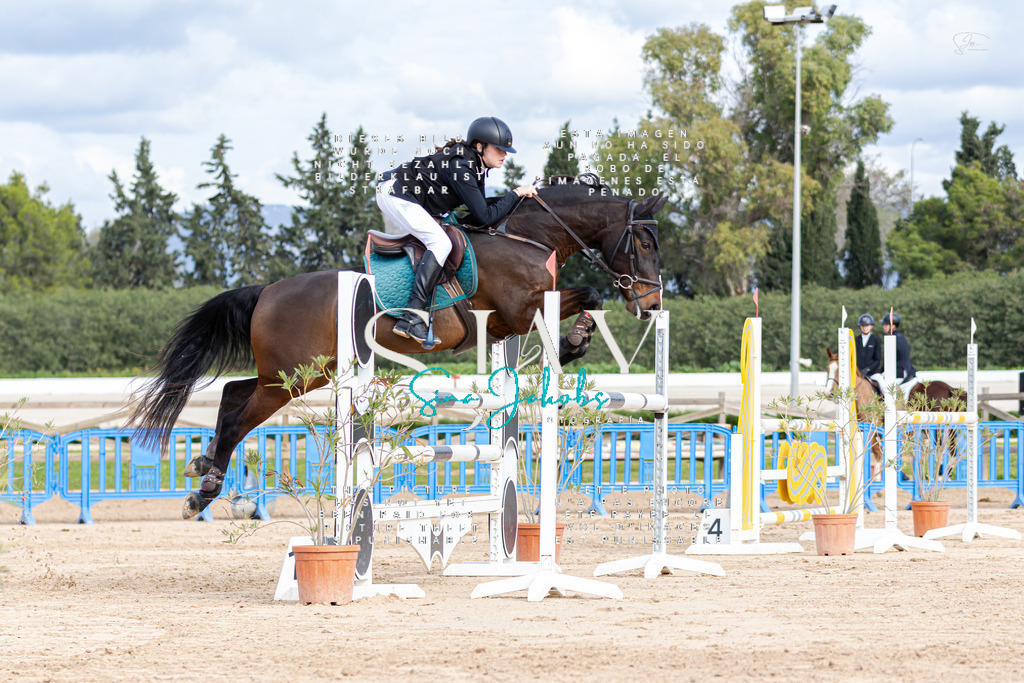 IMG_2674 | s-jay-photography - Realisiert mit Pictrs.com