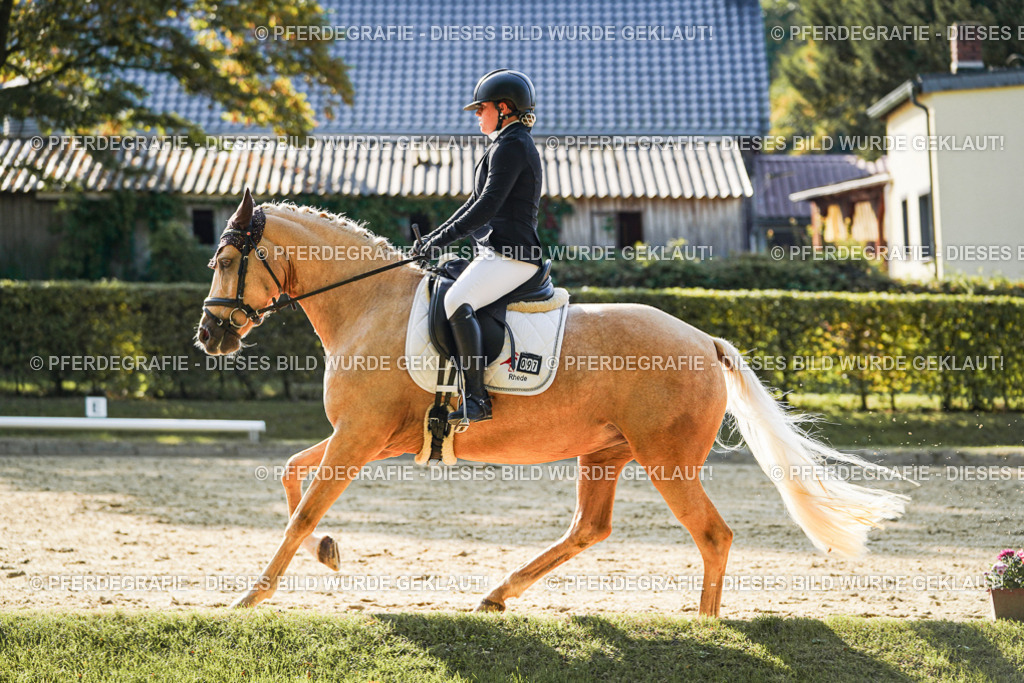 DSC05908 | Pferdegrafie