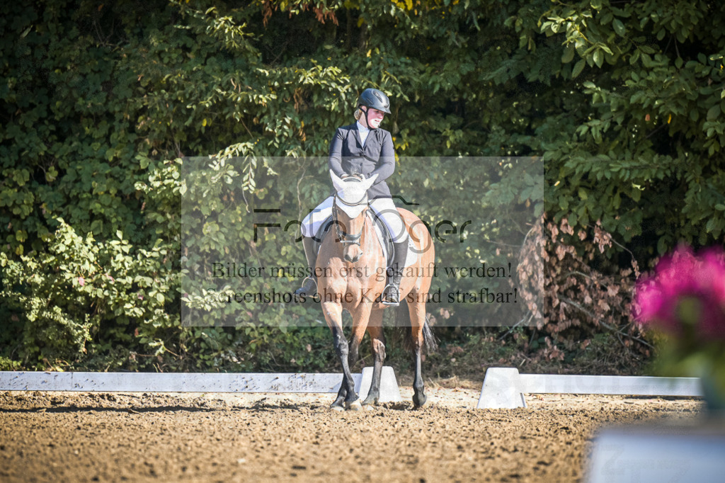 DOS_0956 | Entdecke hochwertige Reitturnierfotos von Foto Oger. Professionell, emotional und authentisch – jetzt Lieblingsmomente im Shop bestellen.Deutschlandweite Turnierfotografie. - Realisiert mit Pictrs.com