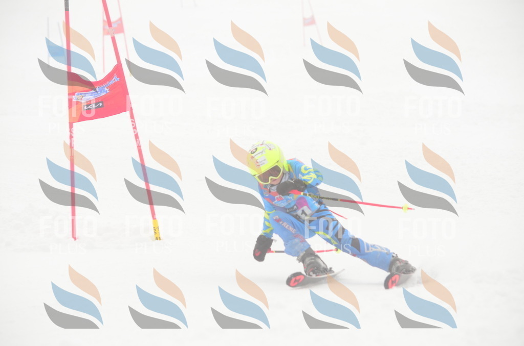 C1713 | holidayphoto