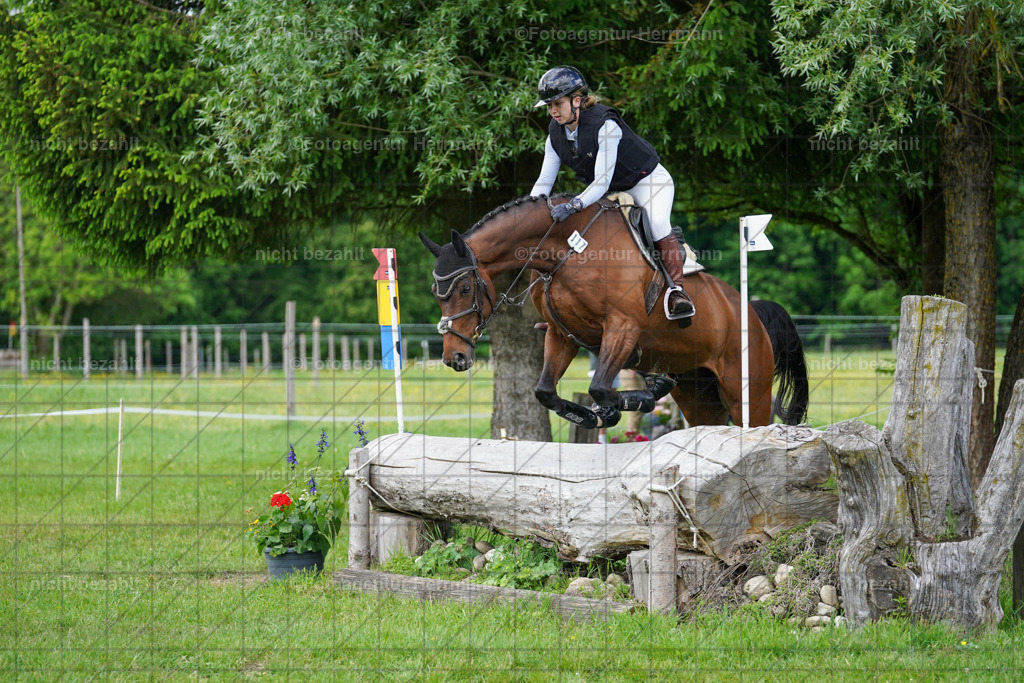 20240518-FAH04209 | Turnierbilder von Niederseon, Turnierfotografen Bayern, Fotoagentur Herrmann, Geländebilder, Reitsportfotografie
