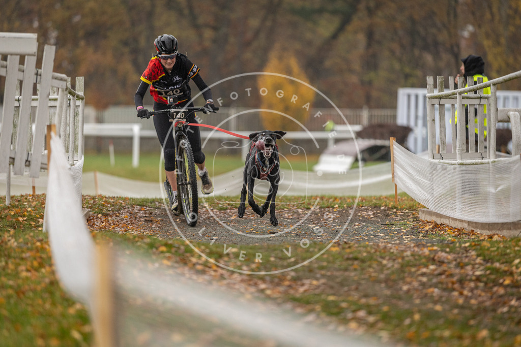 CaniXpix_DV3A8091 | Hundefotografie, Tierfotograf, Pfotenfotografie, Fotoshooting Hund, Hunde Portrait, Hundesport, Hundeportraits, Heideshooting, Hunde, Sportfotograf, Hundefotograf, Turnierhundsport, THS,  - Realisiert mit Pictrs.com