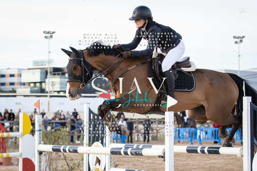 IMG_0679 | s-jay-photography - Realisiert mit Pictrs.com