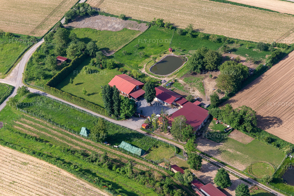 Luftbild: Biotop von Michael Schwager in Herxheim bei Landau im Bundesland Rheinland-Pfalz in Deutschland. Foto: IMG_114271.jpg vom 26.05.2019 durch Werner Riehm/FLY-FOTO.de