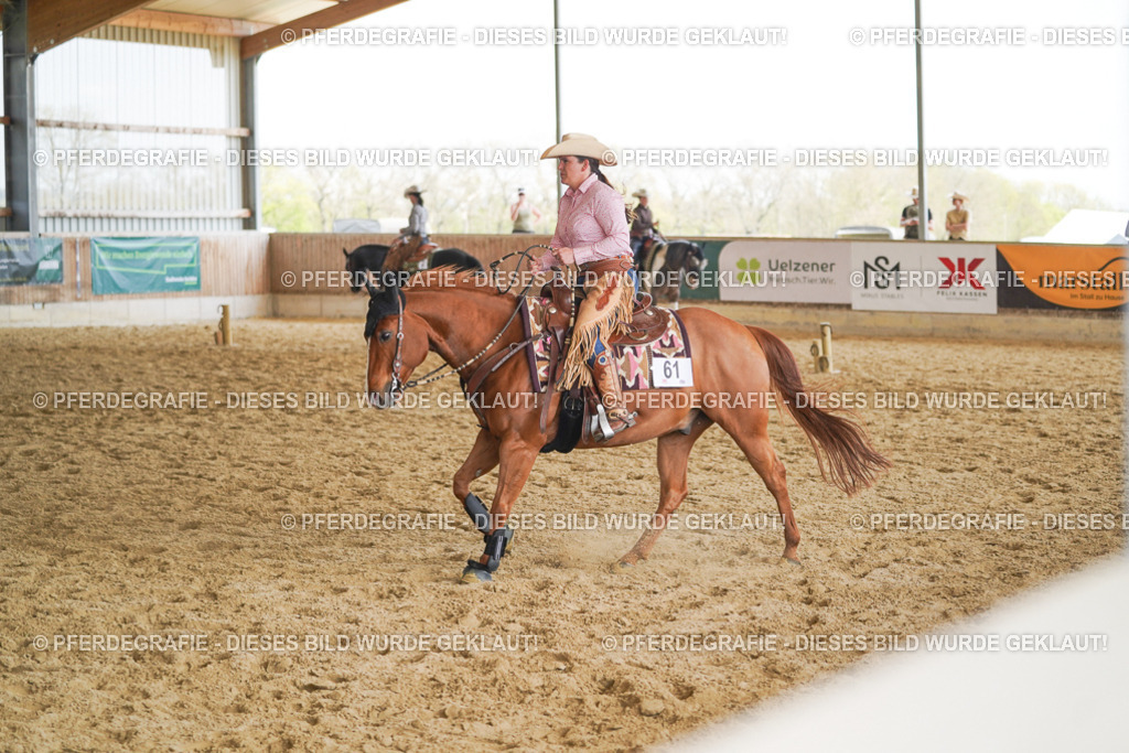 DSC02057 | Pferdegrafie