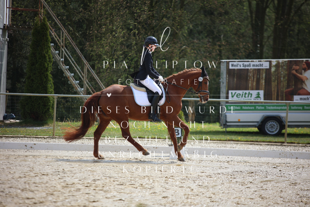 IMGT2485 | pl-fotografie