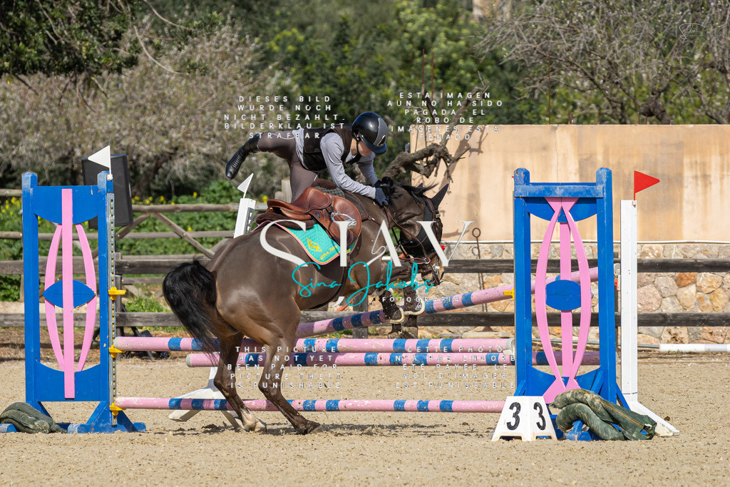 IMG_6748 | s-jay-photography - Realisiert mit Pictrs.com