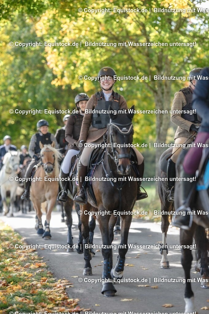 20251011_Jagd-Marbach_0299 | Foto: Thomas Hartig