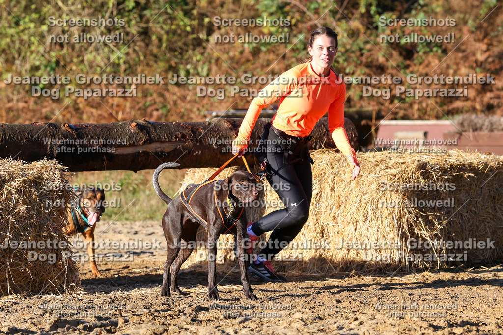 Dog Paparazzi - Strongdog 10-25-1189 | Dog Paparazzi Jeanette Grottendiek Fotografie & Videografie - Realisiert mit Pictrs.com