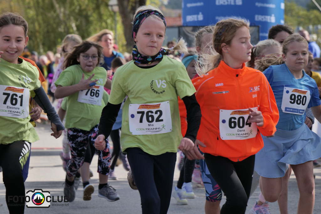 P1039213 | Foto Buchgraber