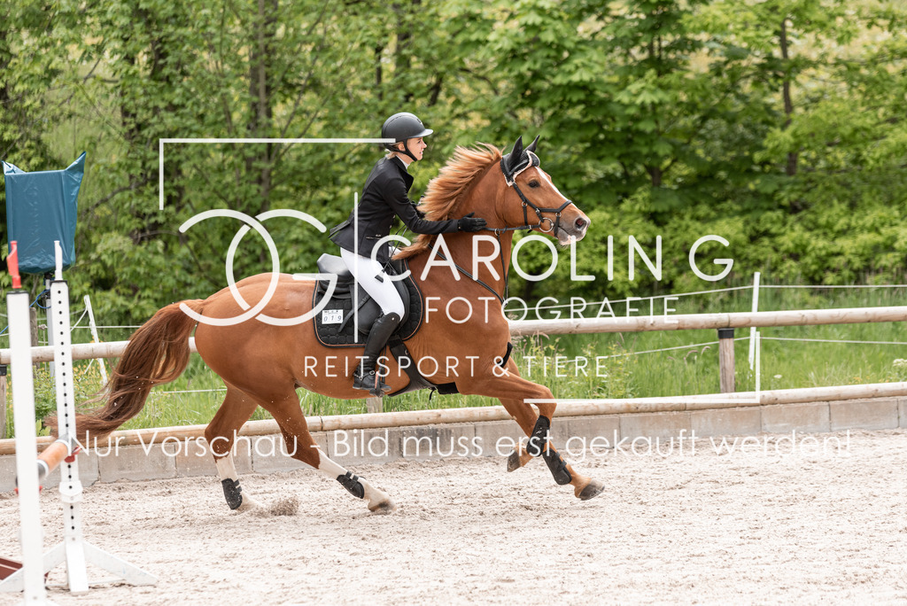DSC_0643 | Turnierfotografin Carolin Gieschke, Turnierfotografie Carolin G Fotografie, Turnierfotos Kirchheim/Teck, Esslingen, Stuttgart, Bodenseekreis