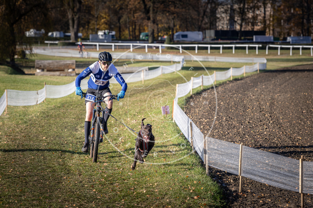 CaniXpix_DV3A3148 | Hundefotografie, Tierfotograf, Pfotenfotografie, Fotoshooting Hund, Hunde Portrait, Hundesport, Hundeportraits, Heideshooting, Hunde, Sportfotograf, Hundefotograf, Turnierhundsport, THS,  - Realisiert mit Pictrs.com