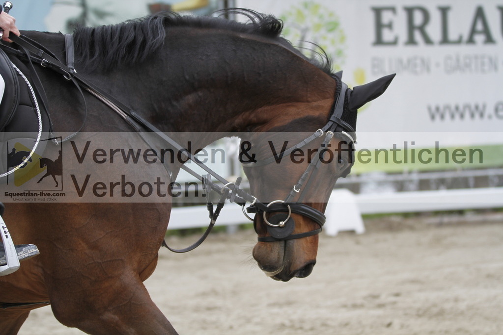_MG_2985 | equestrian-live-com