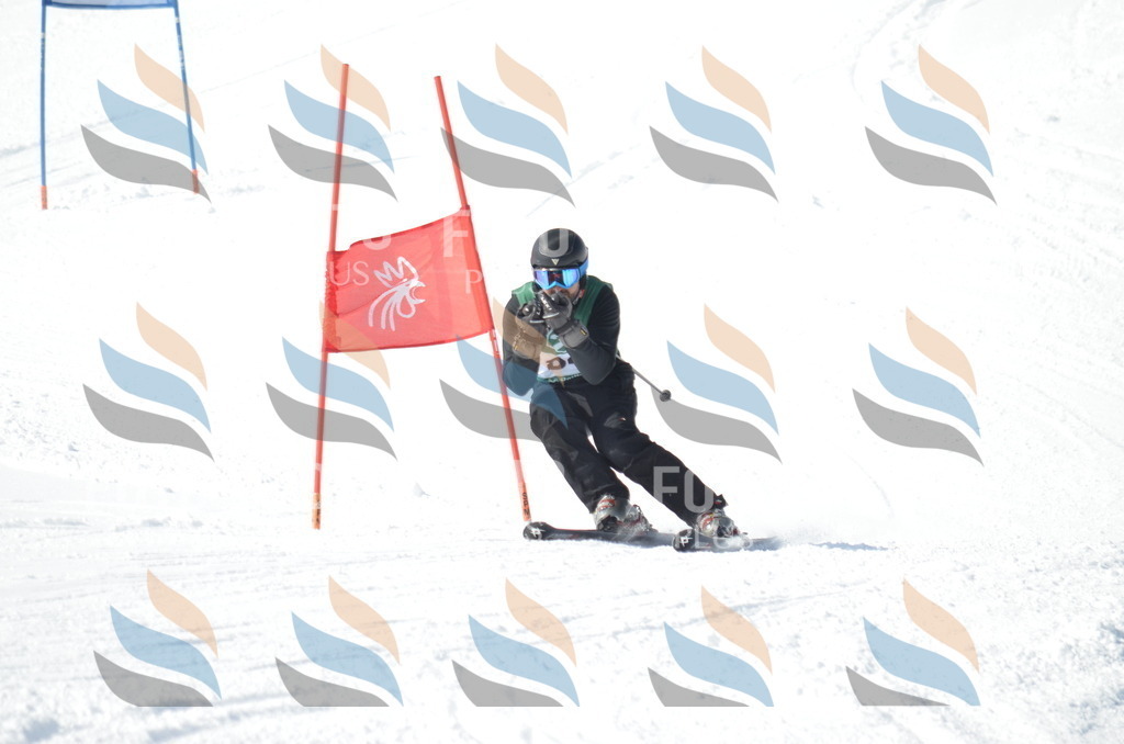 D9035 | holidayphoto