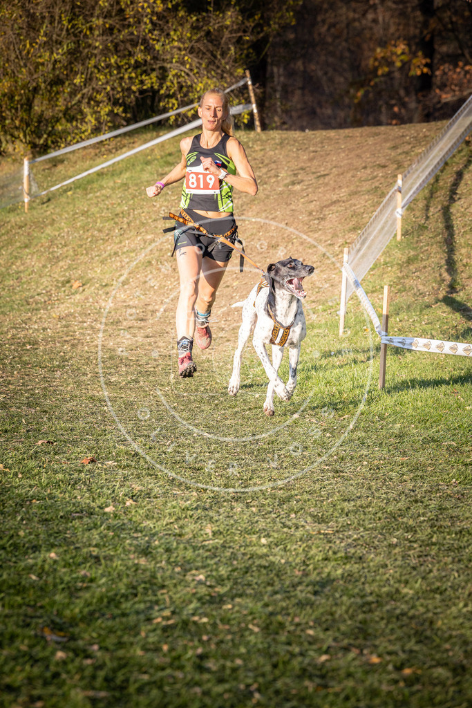CaniXpix_0L8A0500 | Hundefotografie, Tierfotograf, Pfotenfotografie, Fotoshooting Hund, Hunde Portrait, Hundesport, Hundeportraits, Heideshooting, Hunde, Sportfotograf, Hundefotograf, Turnierhundsport, THS,  - Realisiert mit Pictrs.com