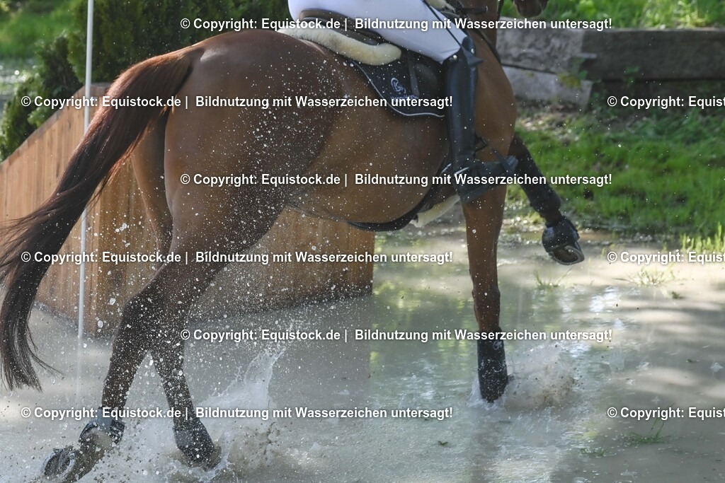 20250517_CCI2_Gelände_0714 | Foto: Thomas Hartig