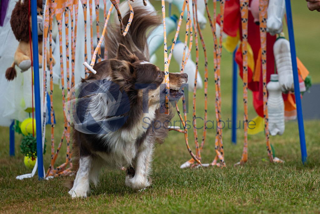 TP-20240815-0028 | Copyright: Trainproduction / Matthias Trinkl