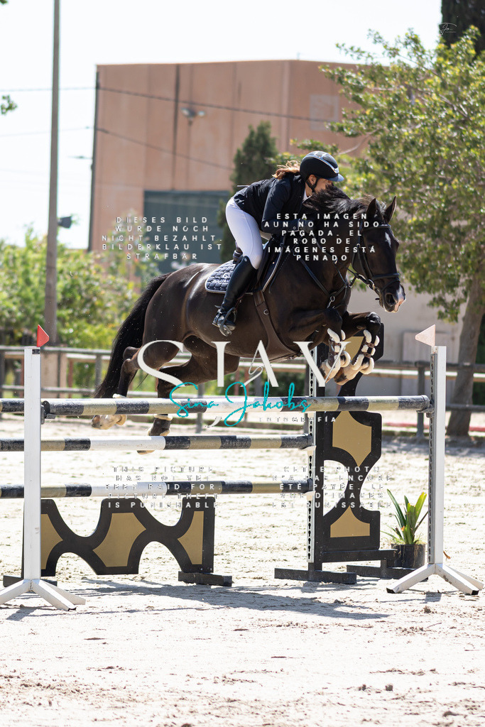 IMG_0099 | s-jay-photography - Realisiert mit Pictrs.com