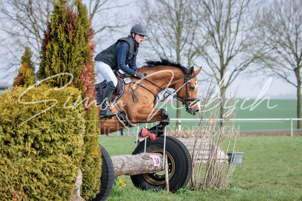 20260329-_3LI3533 | Tierfotografie Pferde, Hunde, Katzen, Haustiere.
Turnierfotografie Reitturniere, Reiten, Springreiten, Dressur in Hanau, dem Main-Kinzig-Kreis und dem Rhein-Main- Gebiet um Frankfurt