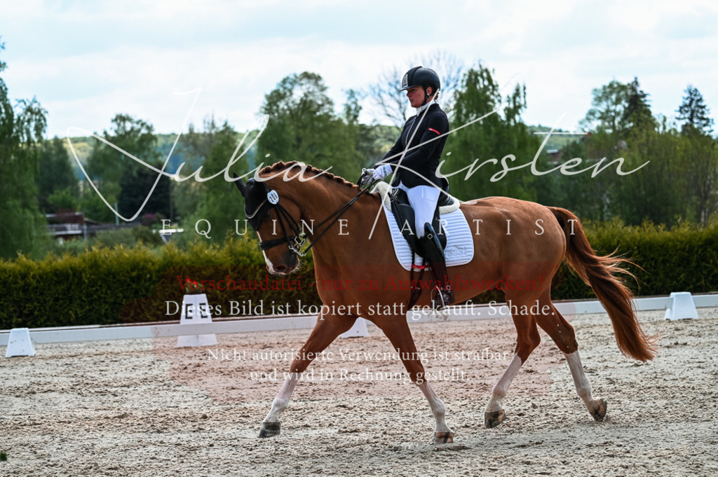 20230513_JK-Röhrsdorf-10-0760 | Pferde- und Turnierfotografie in Westsachsen. Pferdeportraits, Auftragszeichnungen und intuitive Kunst.