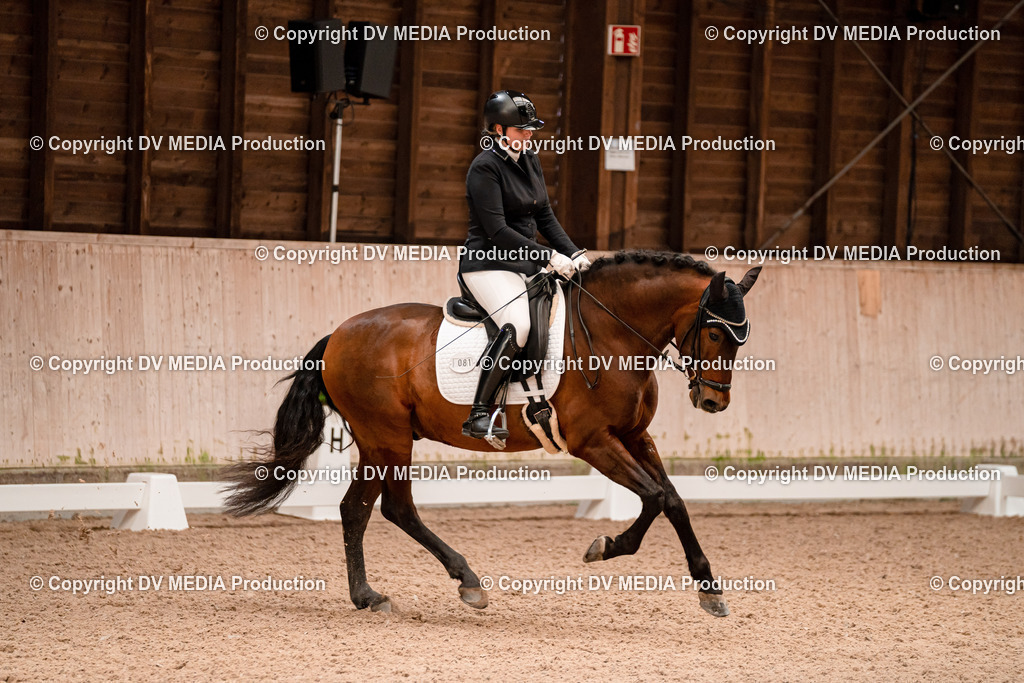 Dressur Tag 2-327 | dv-media-shop - Realisiert mit Pictrs.com