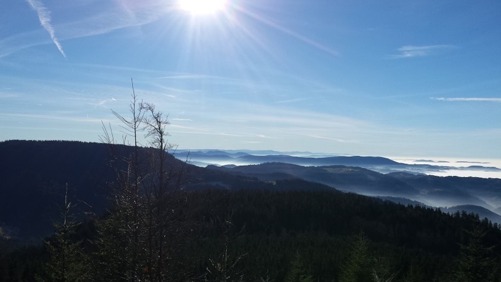 Black_Forest_View_2016_1 | klausulrichmoeller