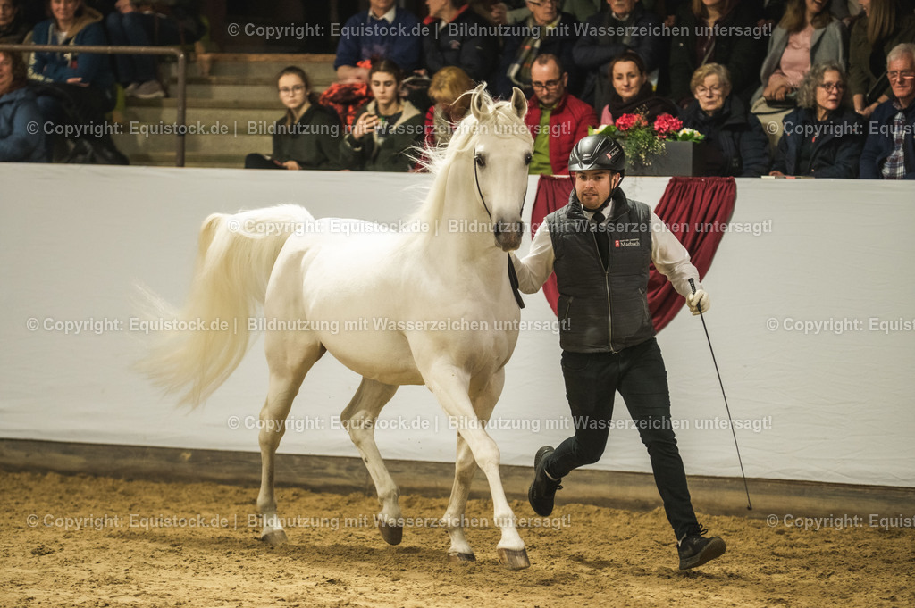 20240302_Hengstvorstellung_Marbach_TOMsPiC_1129-2 | equistock